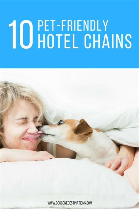 pet friendly hotel chains.